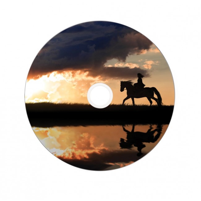 Verbatim 43667 blank DVD 8.5 GB DVD+R DL 25 pc(s) Verbatim 43667 blank DVD 8.5 GB DVD+R DL 25 pc(s)