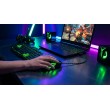 Esperanza EGM201G mouse USB Type-A Optical 2400 DPI Right-hand