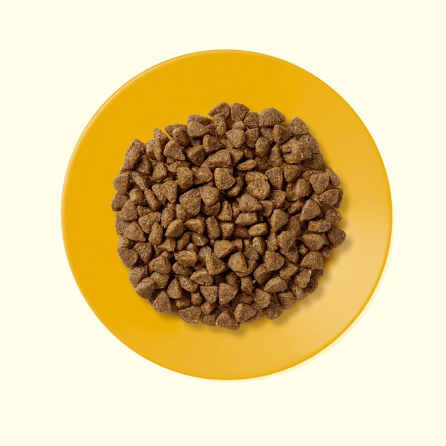 APPLAWS Kitten Chicken - dry cat food - 2kg