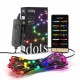 Twinkly Dots Black Twinkly Dots Black