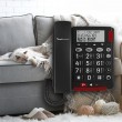 amplicomms Bigtel 48 Plus Analog telephone Caller ID Dark Grey