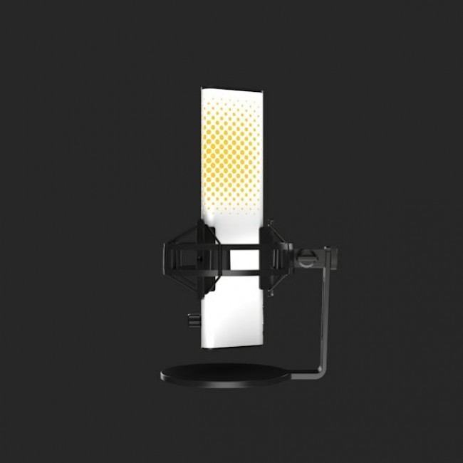 Endgame Gear XSTRM Black, White PC microphone