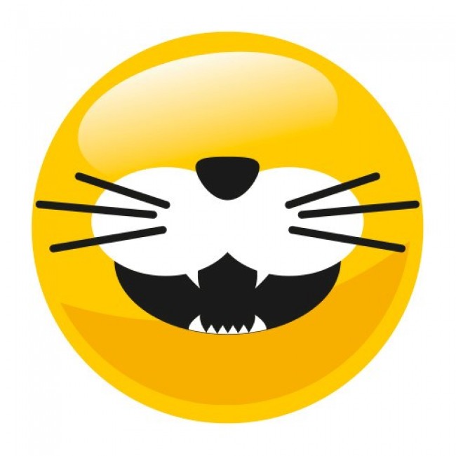 PREVITAL Pillows Chicken with cheese - cat treats - 60g PREVITAL Pillows Chicken with cheese - cat treats - 60g