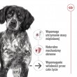ROYAL CANIN Medium Ageing Loaf - wet dog food - 410g