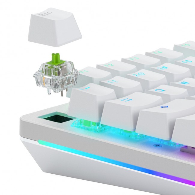 Glorious Gaming Glorious Raptor Clicky Mechanical Switches - 36 Pieces