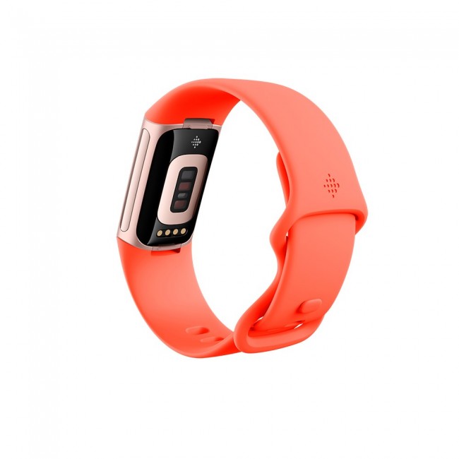 Fitbit Charge 6 AMOLED Wristband activity tracker Coral, Gold
