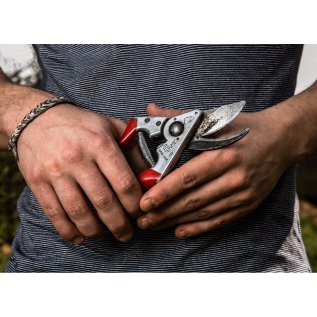 PRUNER FELCO FELCO-8_FEL