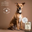 OLLO Pure Deer wet dog food 850 g