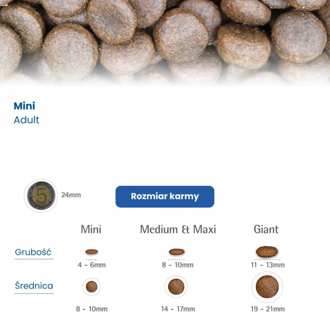 FARMINA N&D Pumpkin Adult Mini Boar&Apple - dry dog food - 7 kg FARMINA N&D Pumpkin Adult Mini Boar&Apple - dry dog food - 7 kg