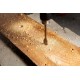 Graphite 58G539 rotary hammer