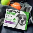 Frontline Combo Spot-on L - Parasite drops for dogs - 3 x 2,68 ml