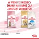 Royal Canin Kitten Sterilised cats dry food 3.5 kg Poultry Royal Canin Kitten Sterilised cats dry food 3.5 kg Poultry