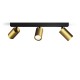 Philips Idris Ceiling/Wall Spotlight 3x