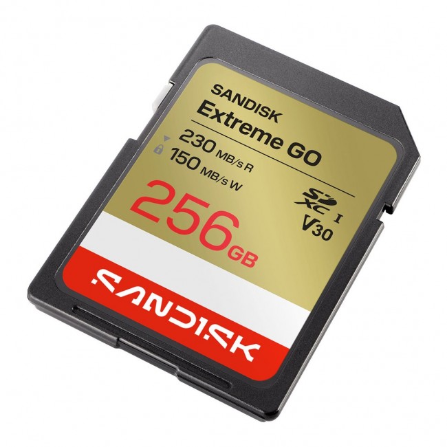 SanDisk Extreme GO 256 GB SDXC UHS-I SanDisk Extreme GO 256 GB SDXC UHS-I
