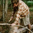 Opinel 001198 hand saw Pruning saw 20.3 cm Grey, Wood