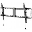 Wentronic Pro TILT (XL) 2.54 m (100