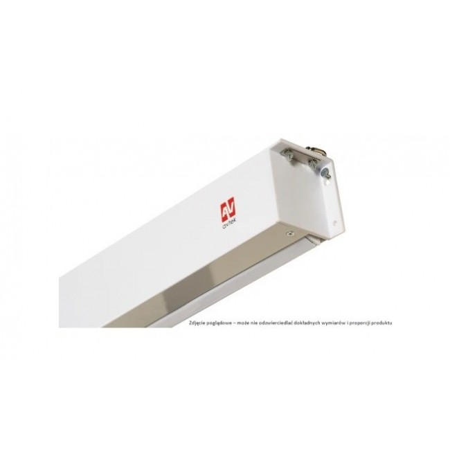 Avtek Business Electric Screen 300P