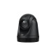 AVer DL30 webcam 2 MP 1920 x 1080 pixels USB Black
