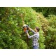 Black & Decker BEHTS401-QS power hedge trimmer Black & Decker BEHTS401-QS power hedge trimmer
