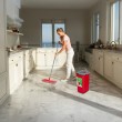 Flat Mop + Bucket + Telescopic Pole + 2 x Microfibre Pad 5.7L Floor Cleaning XXL Set Rotating Head Flat Mop + Bucket + Telescopic Pole + 2 x Microfibre Pad 5.7L Floor Cleaning XXL Set Rotating Head