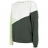 Women's sweatshirt 4F anthracite H4L22 BLD013 22S S