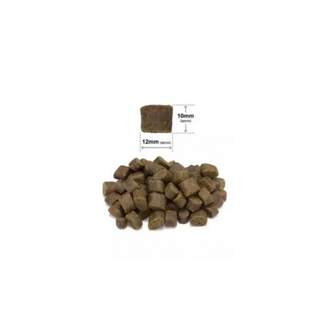 ARQUIVET Fresh Iberian pork - semi-moist dog food - 10kg