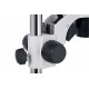 Levenhuk ZOOM 1B 45x Optical microscope