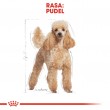 Royal Canin Poodle Adult 1.5 kg