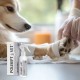 JM SANTE Polisept Vet Spray Silver Pro - wound solution for dogs and cats 200 ml
