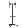 Montis Mobilny uchwyt do TV - MT191 ATLAS 152.4 cm (60