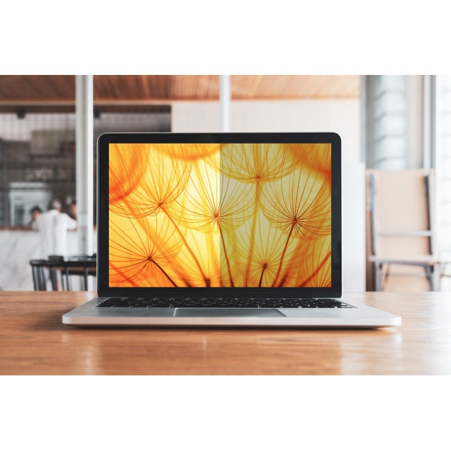 3M Bright Screen Privacy Filter for 14in Full Screen Laptop, 16:9, BP140W9E 3M Bright Screen Privacy Filter for 14in Full Screen Laptop, 16:9, BP140W9E