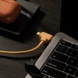 Native Union Belt Cable Duo (USB-C to USB-C/Lightning)