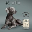 OLLO Pure Horse Mono - wet dog food - 850g