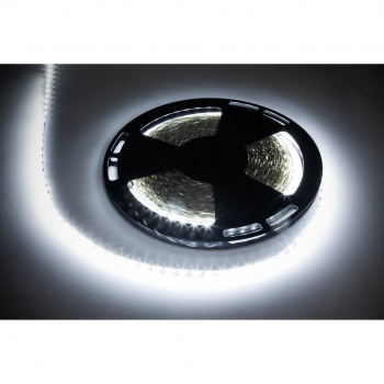 LED cord 25m Rebel (1500x5050 SMD) cold white, 12V