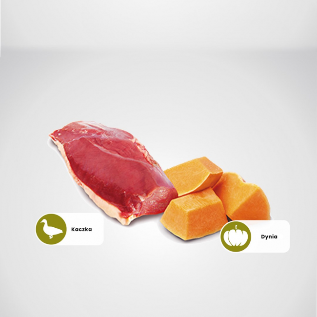 Farmina N&D Cat Duck & Pumpkin 70g