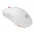 GENESIS Zircon XIII mouse Gaming Ambidextrous RF Wireless + USB Type-C Optical 26000 DPI