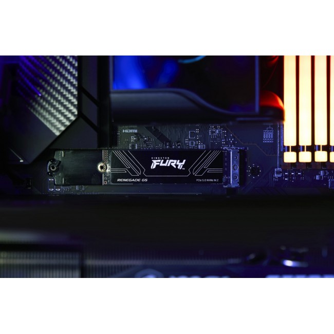 Kingston Technology 1T FURY RENEGADE G5 M.2 2280 NVMe SSD Kingston Technology 1T FURY RENEGADE G5 M.2 2280 NVMe SSD