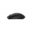 Gembird MUSW2-6B-01 Dual-mode wireless mouse (2.4G + BT), 1600 DPI, 6-button, black