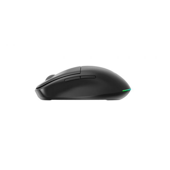 Gembird MUSW2-6B-01 Dual-mode wireless mouse (2.4G + BT), 1600 DPI, 6-button, black