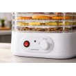 Esperanza EKD004 Food dehydrator,Transparent,White 250 W