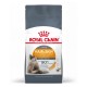 ROYAL CANIN Hair&Skin Care Adult - dry cat food - 400g ROYAL CANIN Hair&Skin Care Adult - dry cat food - 400g