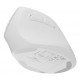 NATEC Crake 2 mouse Universal Right-hand RF Wireless + Bluetooth Optical 2400 DPI NATEC Crake 2 mouse Universal Right-hand RF Wireless + Bluetooth Optical 2400 DPI