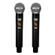 DNA Professional DVS2 - wireless microphone, 2 handheld transmitters + base unit (560 590 MHz)