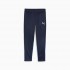 PUMA teamGOAL Male Blue Polyester