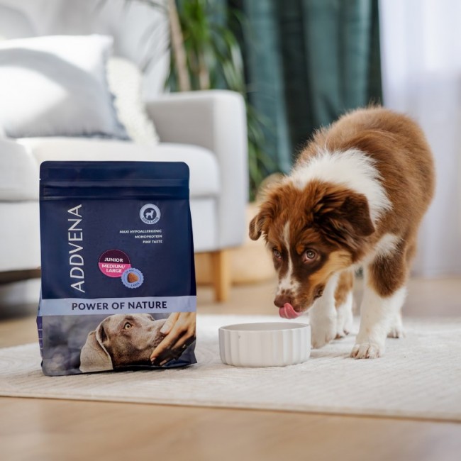 ADDVENA Power of Nature Junior Medium/Large Lamb - dry dog food - 2,5kg ADDVENA Power of Nature Junior Medium/Large Lamb - dry dog food - 2,5kg