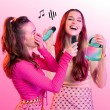 Canal Toys INF044 karaoke system Portable Wireless