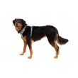 Ruffwear 30503-355S1 dog/cat harness XS Green Nylon, Polyester No-pull harness