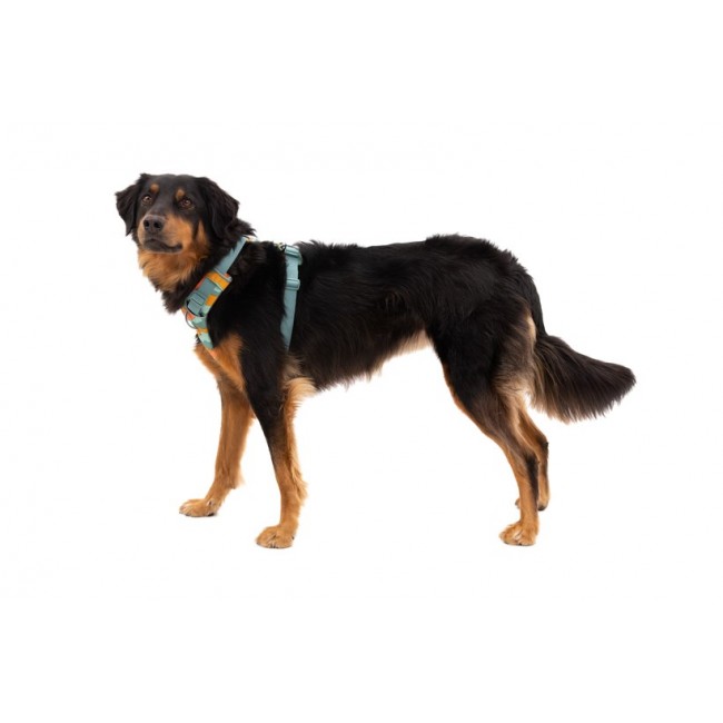 Ruffwear 30503-355S1 dog/cat harness XS Green Nylon, Polyester No-pull harness