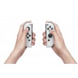 Nintendo Switch OLED portable game console 17.8 cm (7