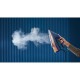 Steam iron PHILIPS DST 8050/20